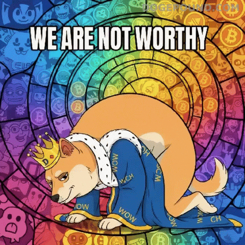 Shiba Inu Wow GIF by Doge Pound