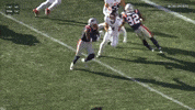 Stefon Diggs Football GIF by New England Patriots
