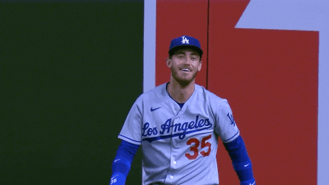 Major League Baseball Sport GIF by MLB