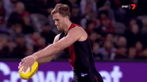 goal afl GIF by Essendon FC