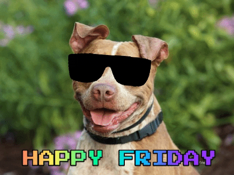 Video gif. A photo of a dog smiling with illustrated sunglasses shining on his face. Text, "Happy friday."