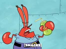 season 4 GIF by SpongeBob SquarePants