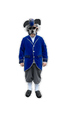 Fasnet Guggenmusik Sticker by Zieefägge