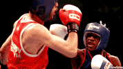 las vegas fight GIF by Showtime