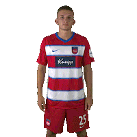 Hdh Sticker by 1. FC Heidenheim 1846