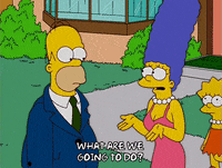 homer simpson GIF