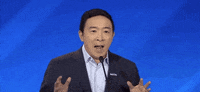 Democratic Debate GIF by GIPHY News
