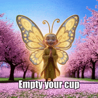 Buddhafly Character GIF by BuddhaFlyJourney