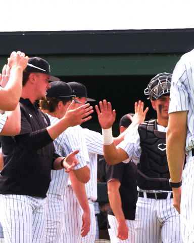 Baseball Catcher GIF by Purdue Fort Wayne Athletics