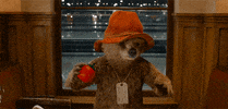 sorry not sorry mess GIF by Paddington Bear