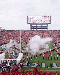 Auburn Football Runout GIF by Auburn Tigers