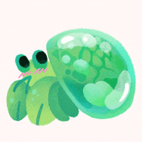 Hermit Crab Love GIF by pikaole