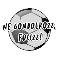 Foci Rtlklub Sticker by RTL Magyarország