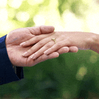 Valentines Day Love GIF by TRT