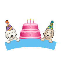 Pancakeandwaffles dog birthday dog collar birthday dog happy birthday dog Sticker