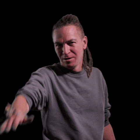 Ceska Republika Cesko GIF by Česká pirátská strana