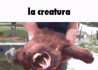 The Creature GIF