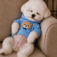 Sleepy Good Night GIF