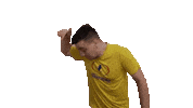 Pra Baixo Sticker by interacaomarilia