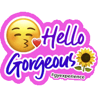 GYexperience hello hello gorgeous gy gyexperience Sticker