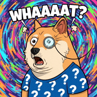 Shiba Inu What GIF by Doge Pound