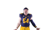 Ncaa Football Go Bears Sticker by Cal Athletics