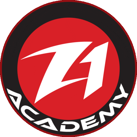 bjj bjjangola Sticker by puroacademy