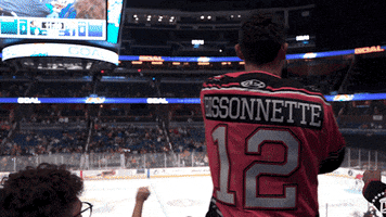 Orlando Solar Bears Biz GIF by Barstool Sports