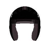 Helmet Sticker by Discount Tire