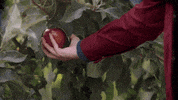 Falling For You Taylor Cole GIF by Hallmark Channel