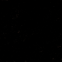 Black Woman Biden GIF by Creative Courage