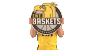 Ewe Baskets Basketball Sticker by EWE Baskets Oldenburg