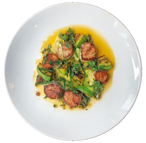 Summer Squash Seafood Sticker by Major Food Group