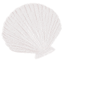 Summer Beauty Sticker by Posh The Label