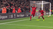 lfc GIF by Liverpool FC