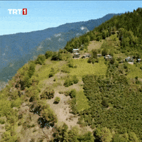 Travel Vacation GIF by TRT