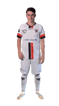 Schwegler Sticker by FCAarau