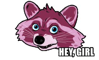 TrashPandaTribe nft wink blink flirt Sticker