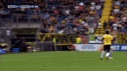 GIF by FOX Sports