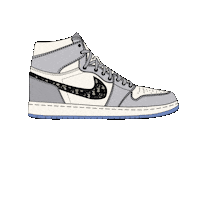 Arti_Kornienko nike jordan dior airjordan Sticker