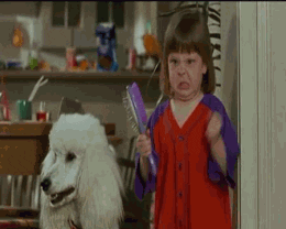 TV gif. A little girl angrily shakes a purple hairbrush at us, while a white poodle next to her doesn't seem to have strong feelings about the issue.