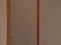 alisa reyes nicksplat GIF