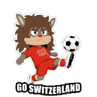 World Cup Football Sticker