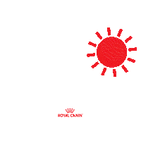 Vet Veterinario Sticker by Royal Canin Brasil