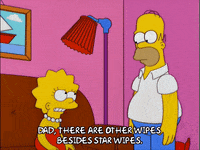 homer simpson GIF