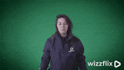 Wizzflix_ yes kiss yeah green GIF