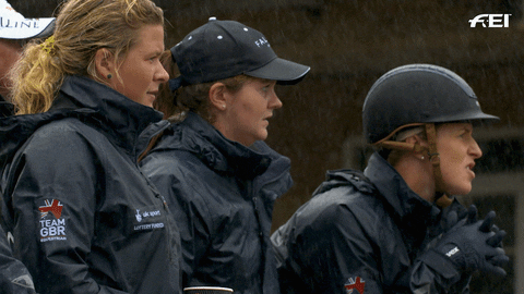 FEI_Global giphyupload sport what team GIF