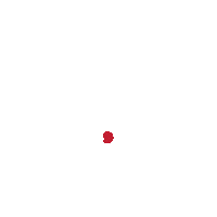 Nisky Sticker by Niskayuna Schools