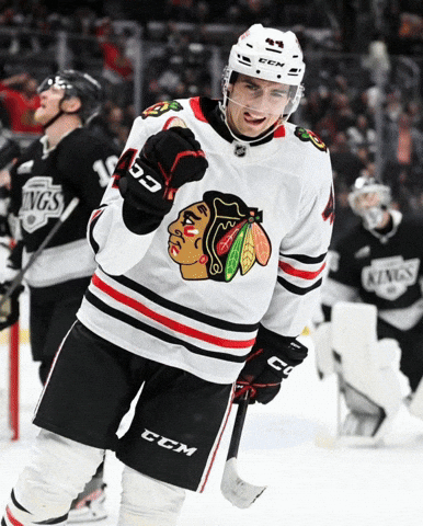 Chicago Blackhawks Hockey GIF