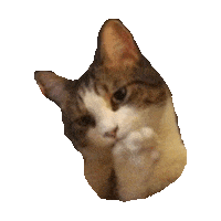 sassy thinking STICKER by imoji